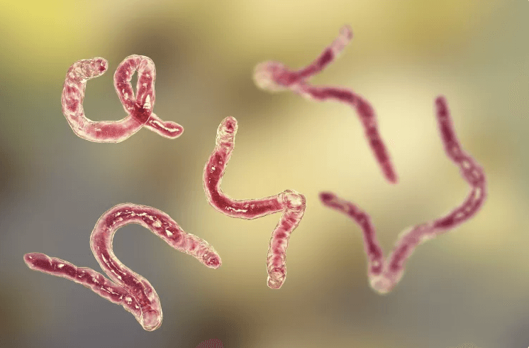 Worms, wealth and worship: Why deworming must be given a national priority